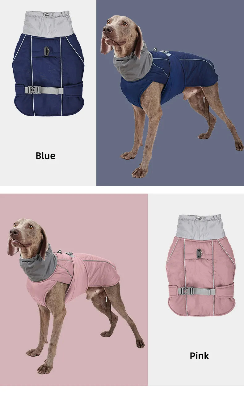 Weimaraner High collar Winter Dress