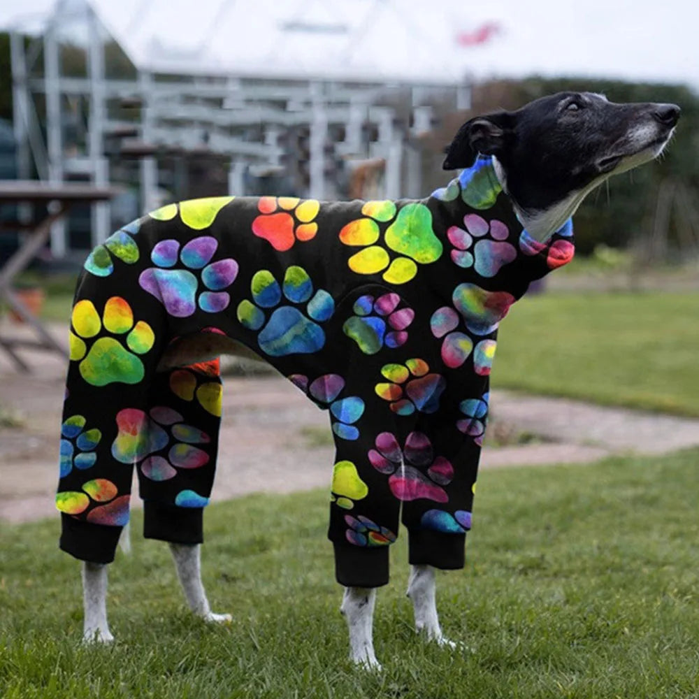 Whippet Paw Colorful Sweater