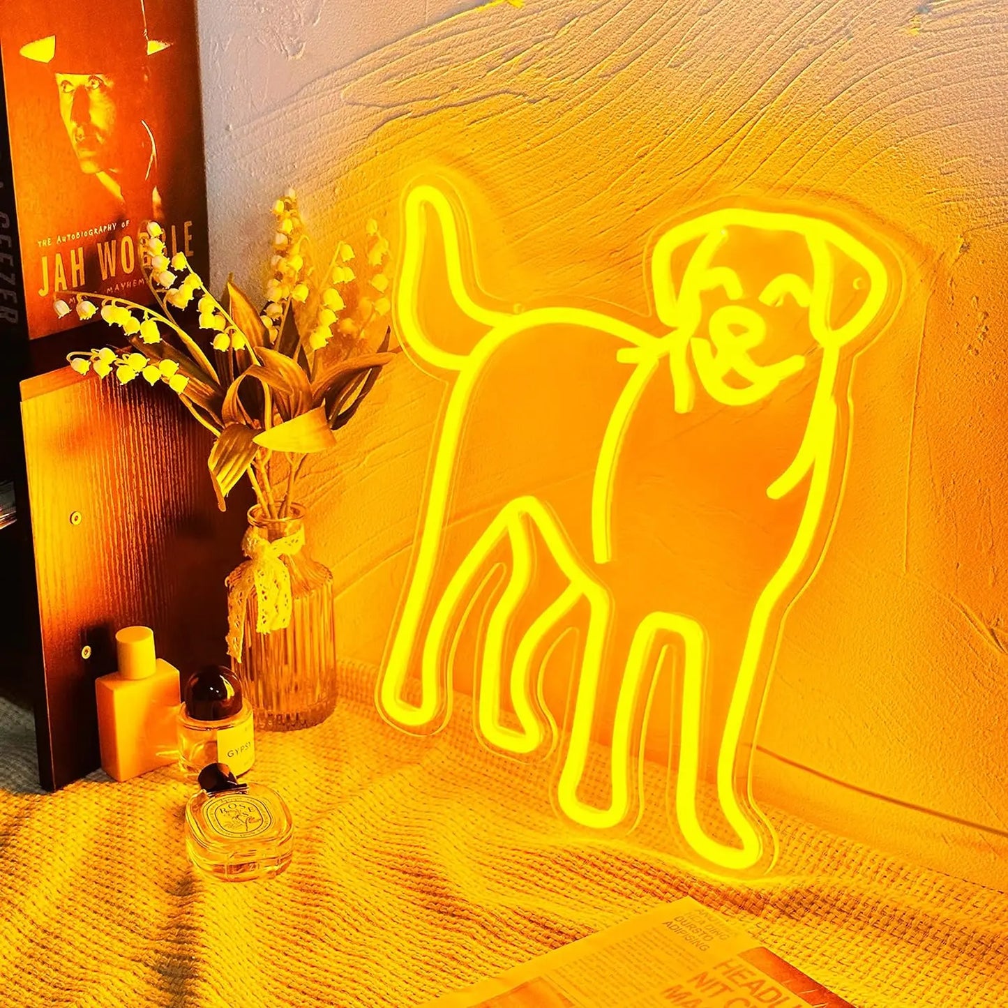 Labrador LED Home Decor