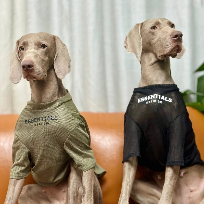 Weimaraner Thin Summer Dress