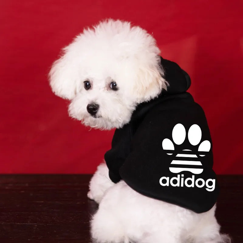 Bichon Frise Winter Warm Hoodies