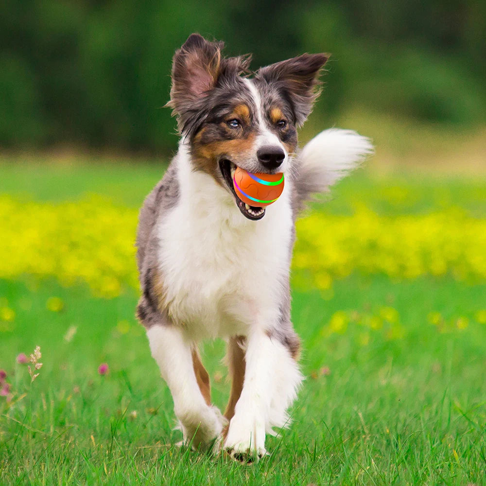 Automatic Rolling Ball Toy