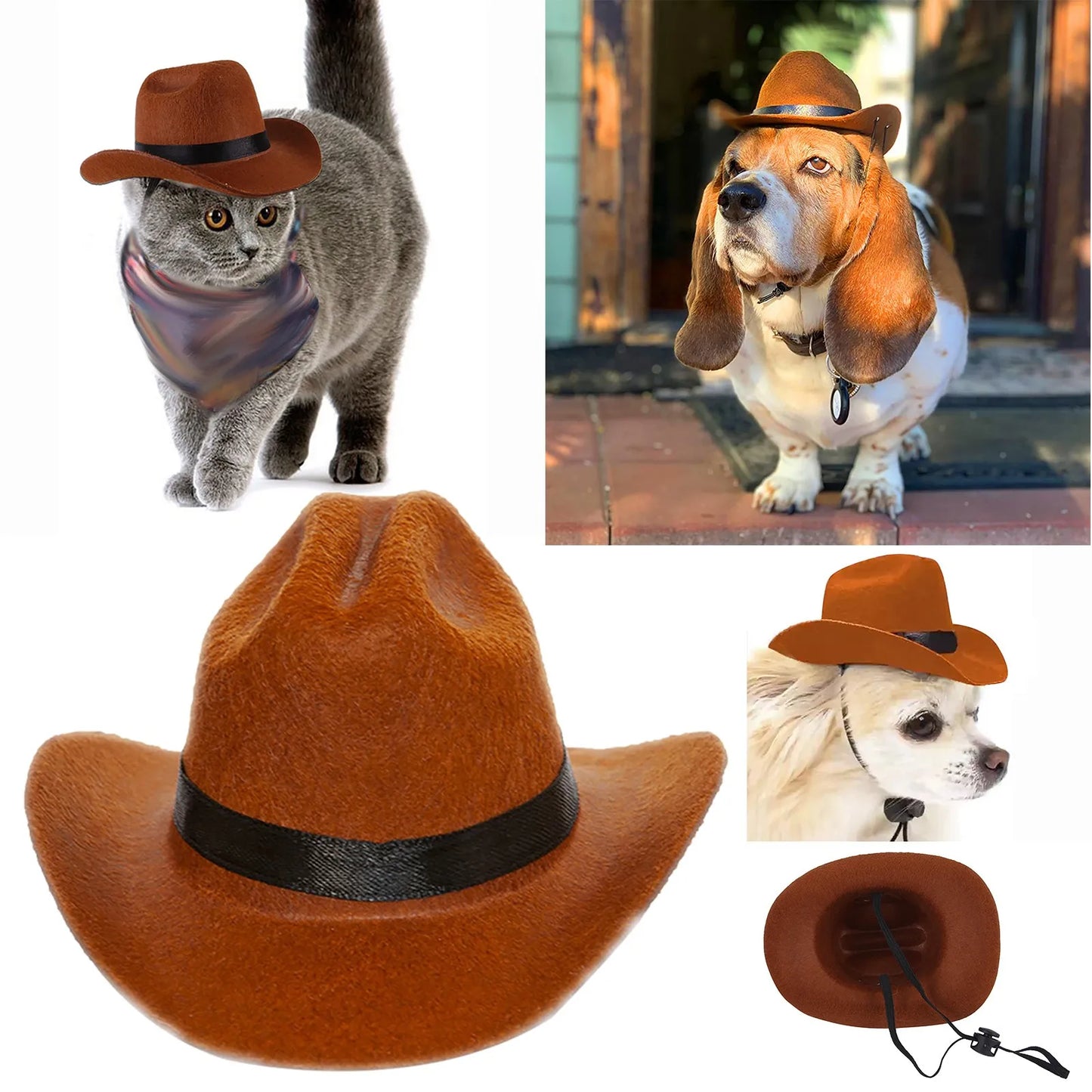 Basset Hound Cowboy Hat