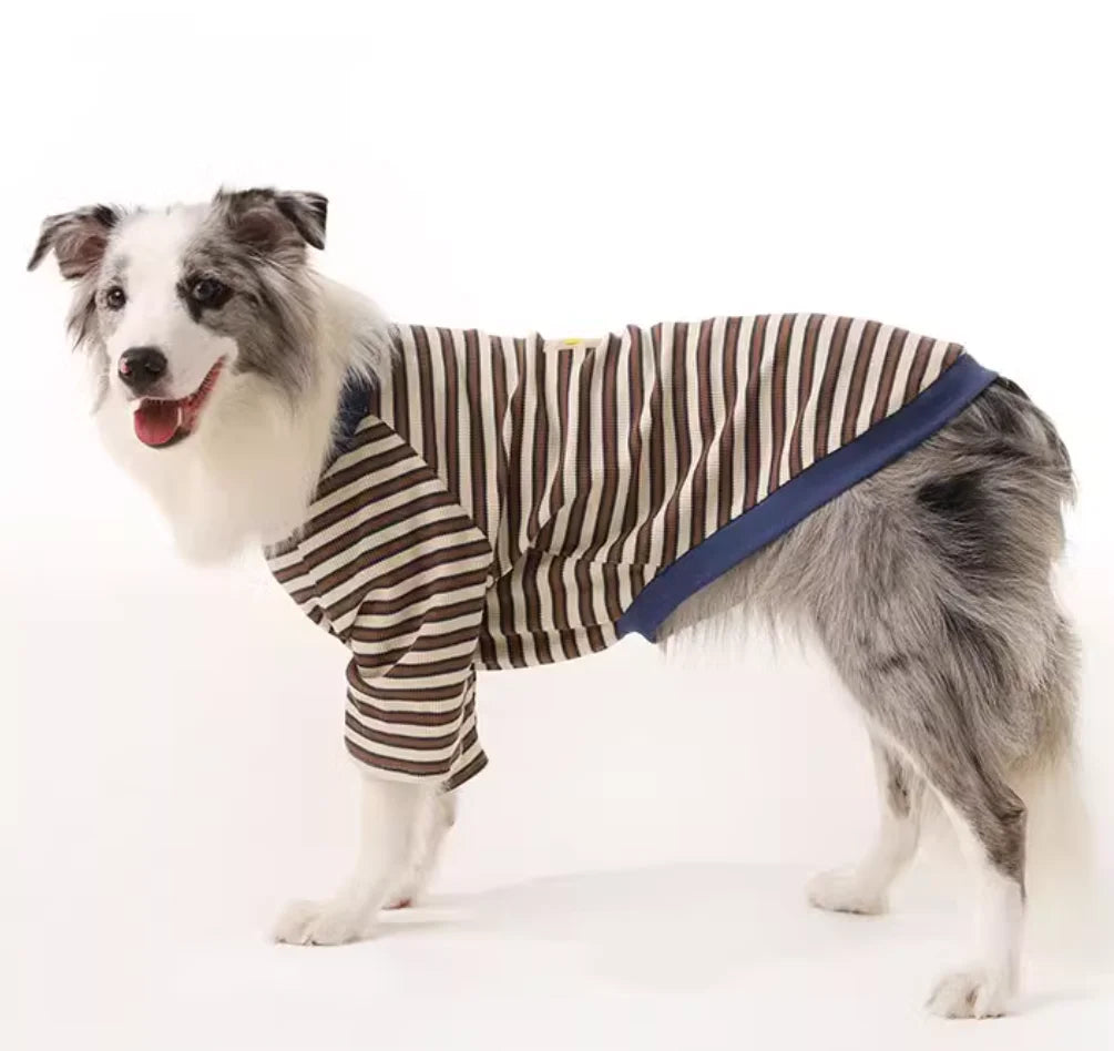 Border Collie Spring Winter Dress