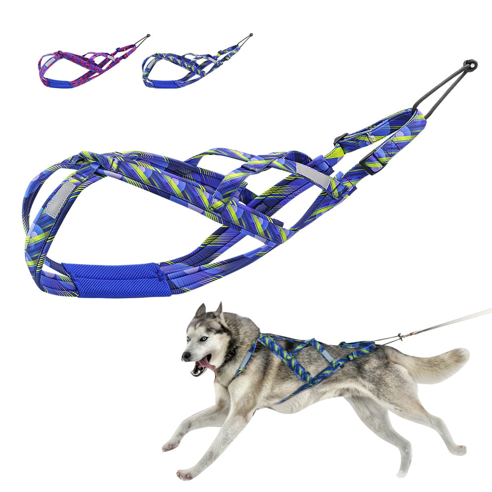 Sled Dog Harness