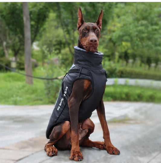 Doberman Autumn Winter Vest Jacket