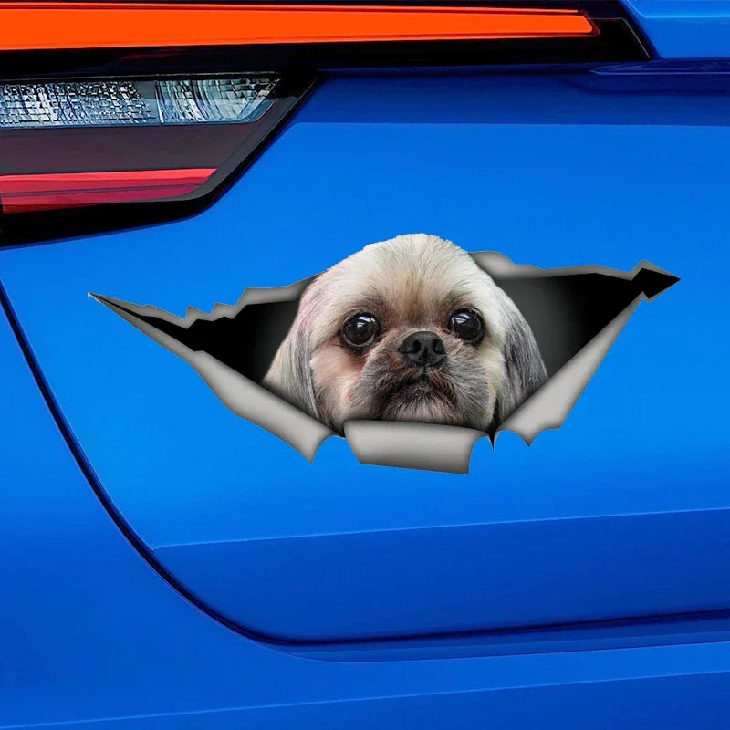 Adorable Shih Tzu Car Sticker