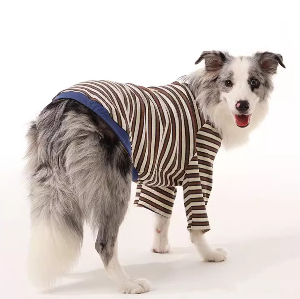 Border Collie Spring Winter Dress