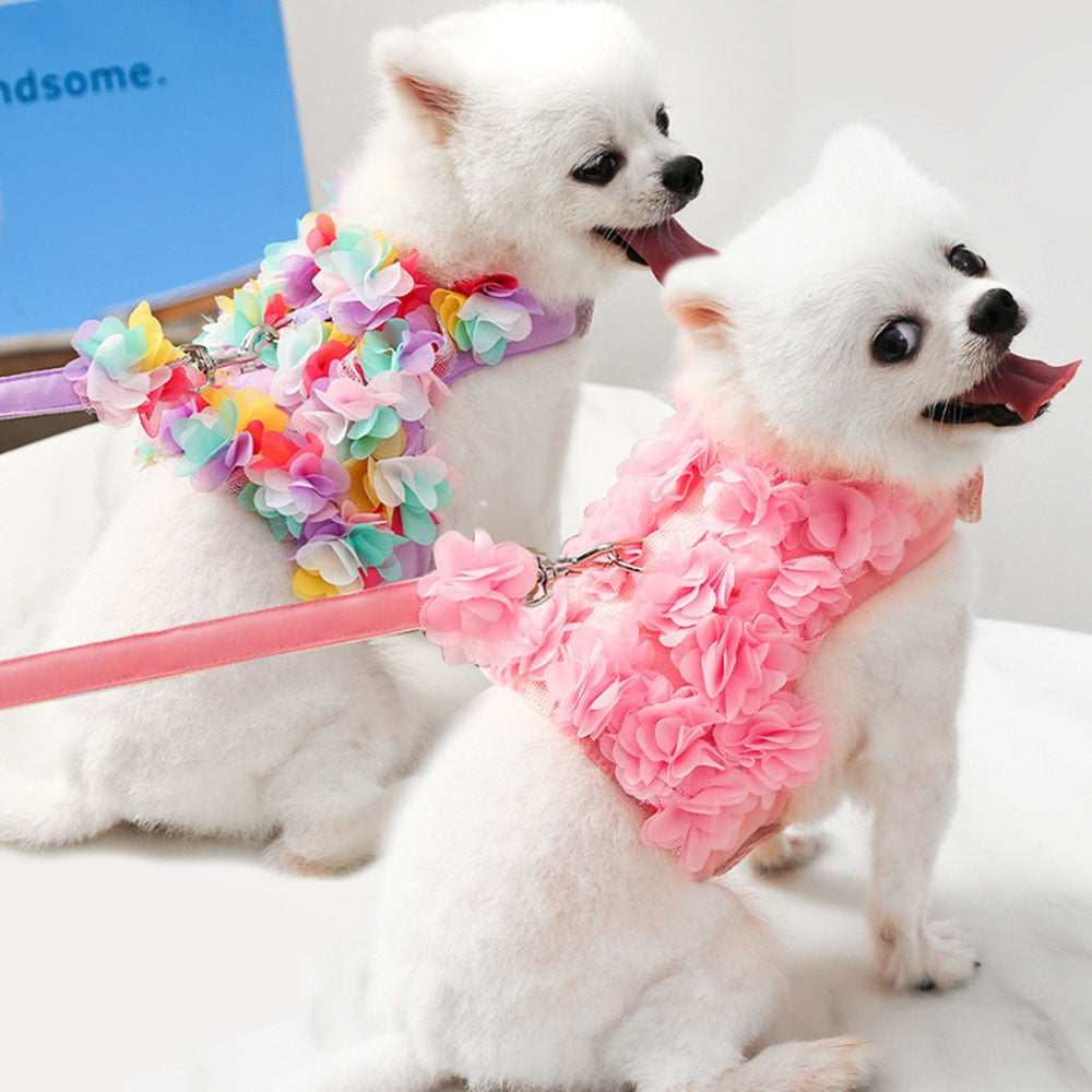 Floral Dog Harness Set