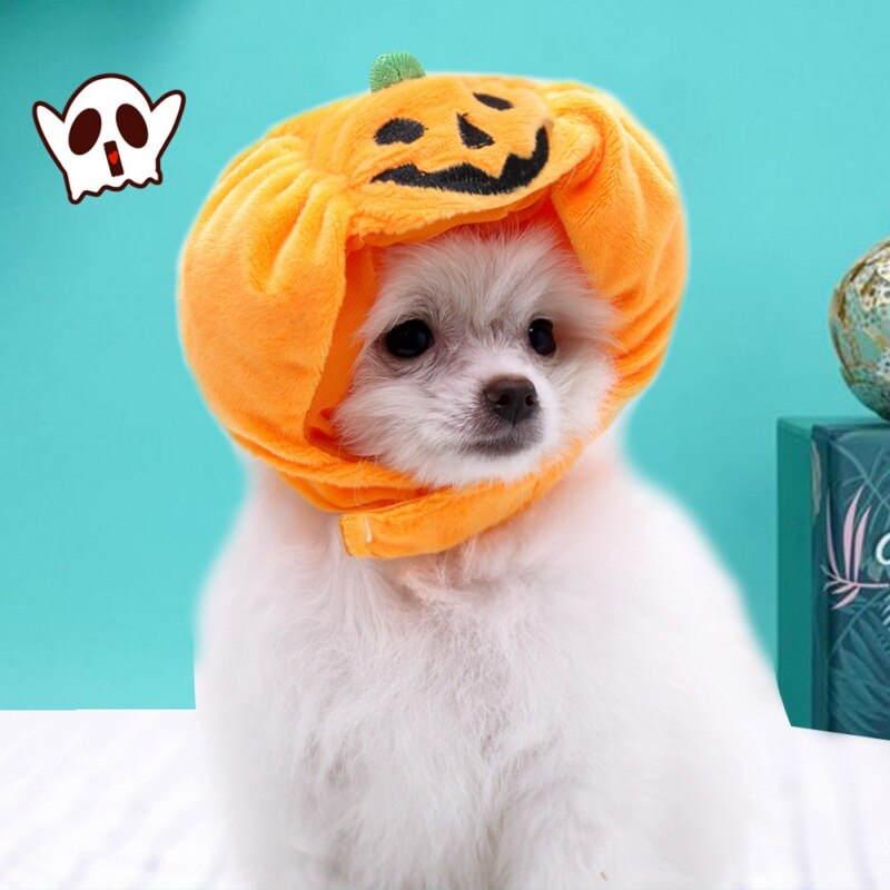 Dog Pumpkin Halloween Hat