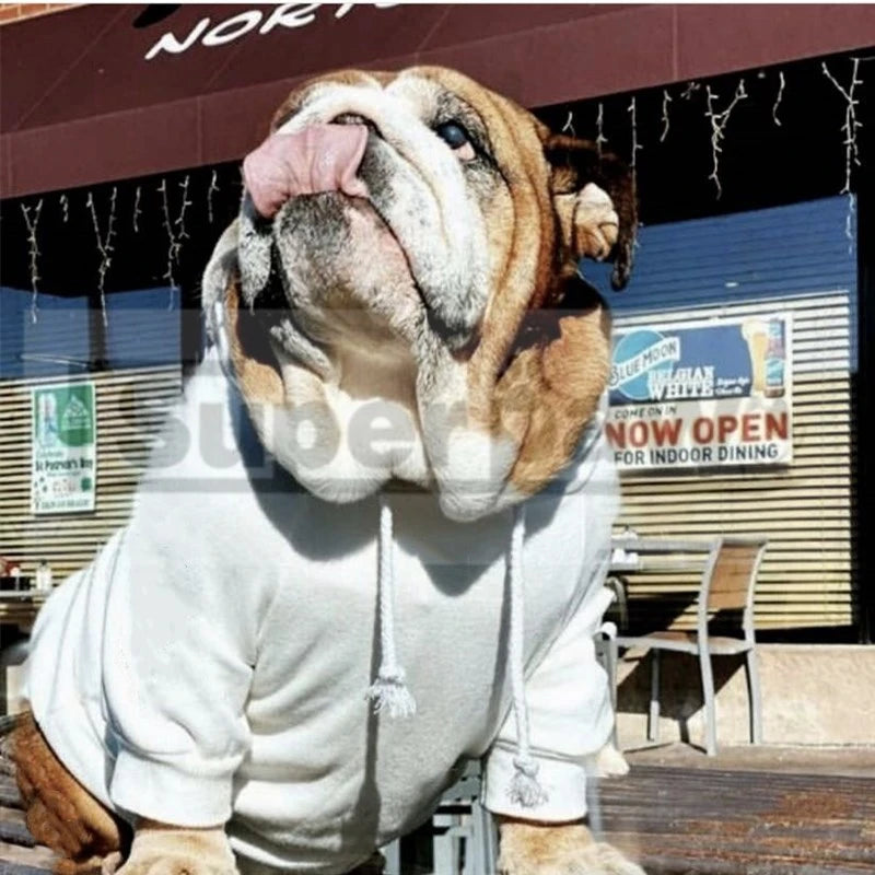 Hoodies For English Bulldog