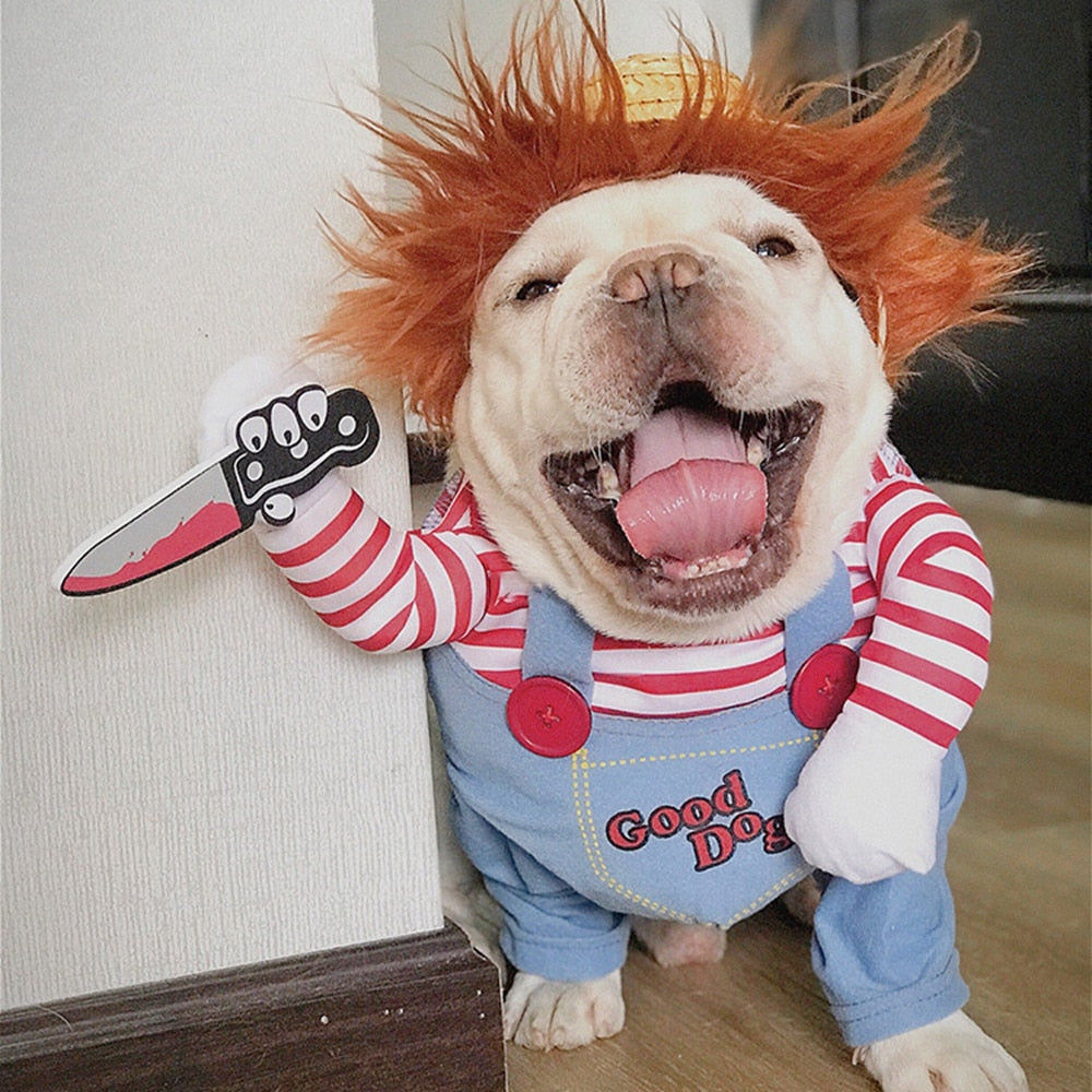 Halloween Chucky Dog Costume