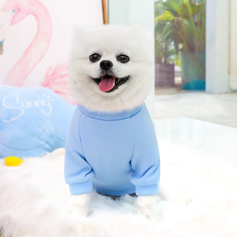 Adorable Small & Medium Dog Sweatshirt