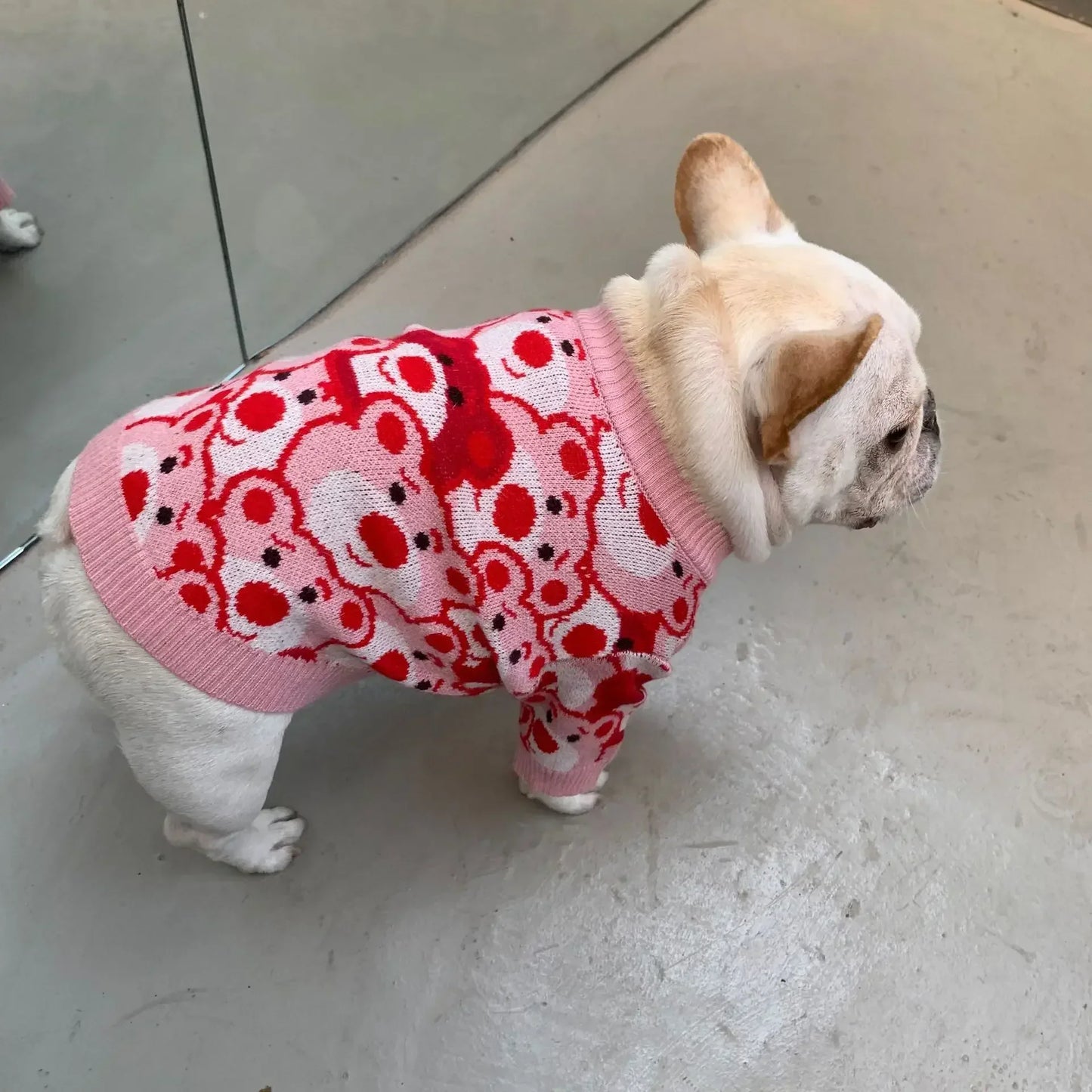 French Bulldog Winter Designer Outfits