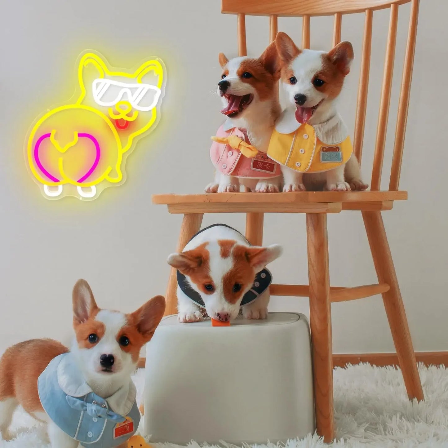 Funny Corgi Neon Sign