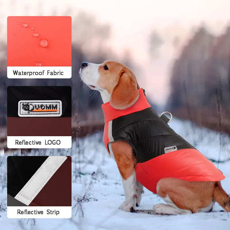 Beagle Warm Winter Jacket