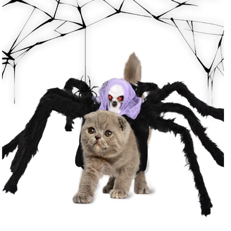 Dogs Halloween Spider Costume