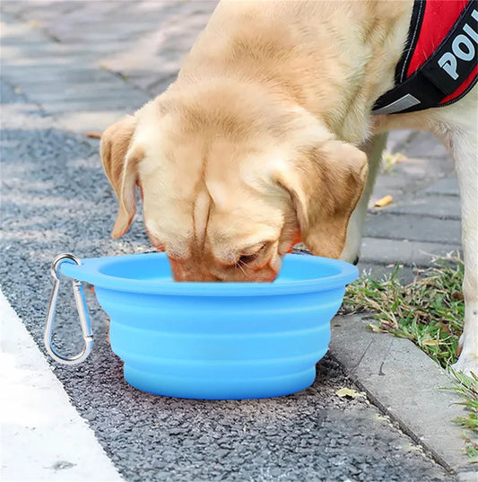 Foldable Pet Feeding Bowl