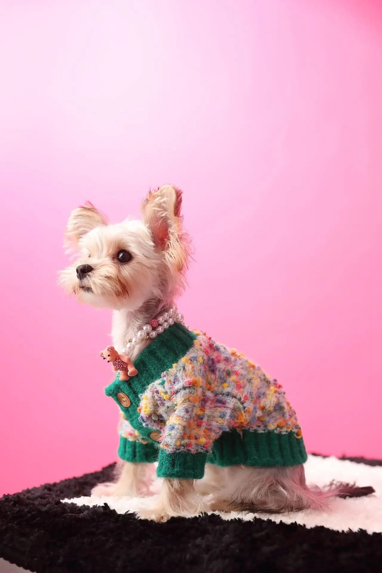 Schnauzer Winter Designer Sweater