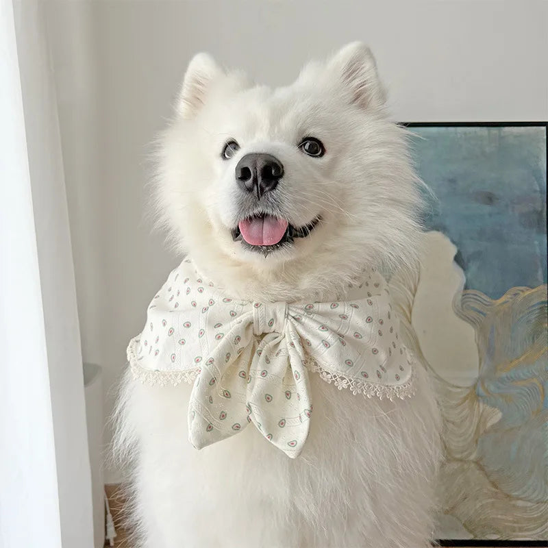 Cute Dog Triangle Scarf