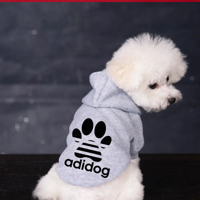 Bichon Frise Winter Warm Hoodies