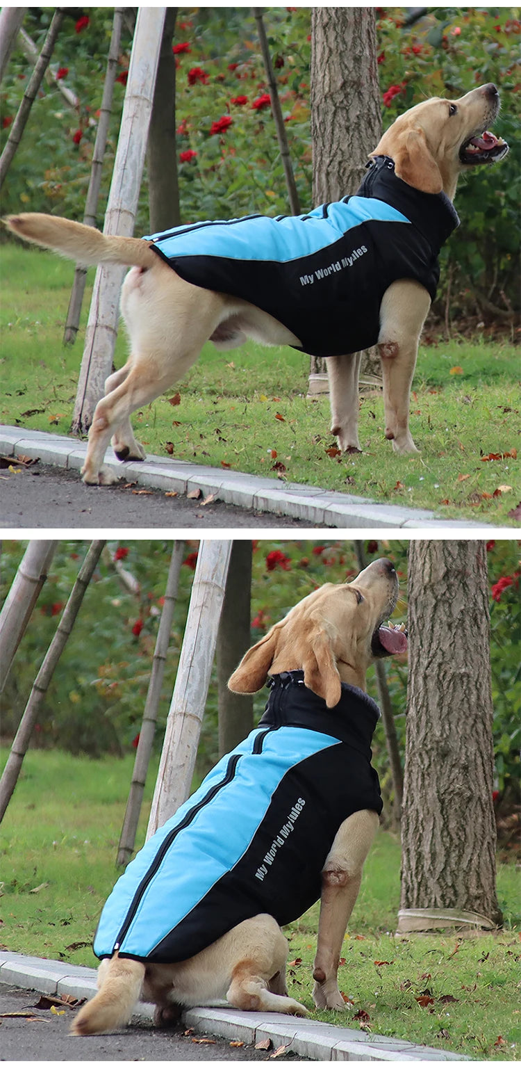 Doberman Autumn Winter Vest Jacket