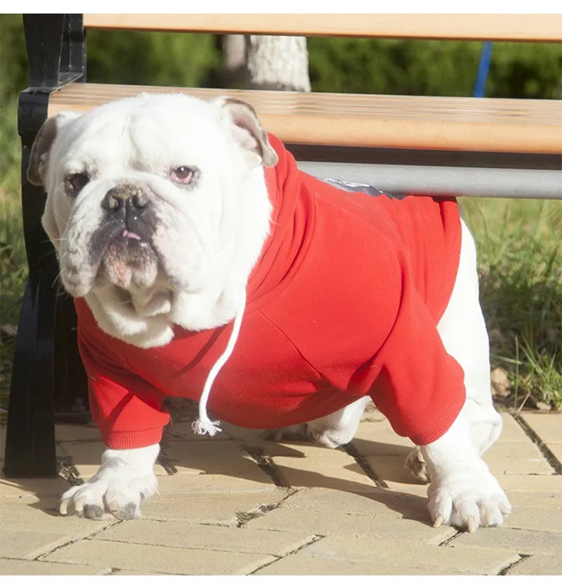 Hoodies For English Bulldog