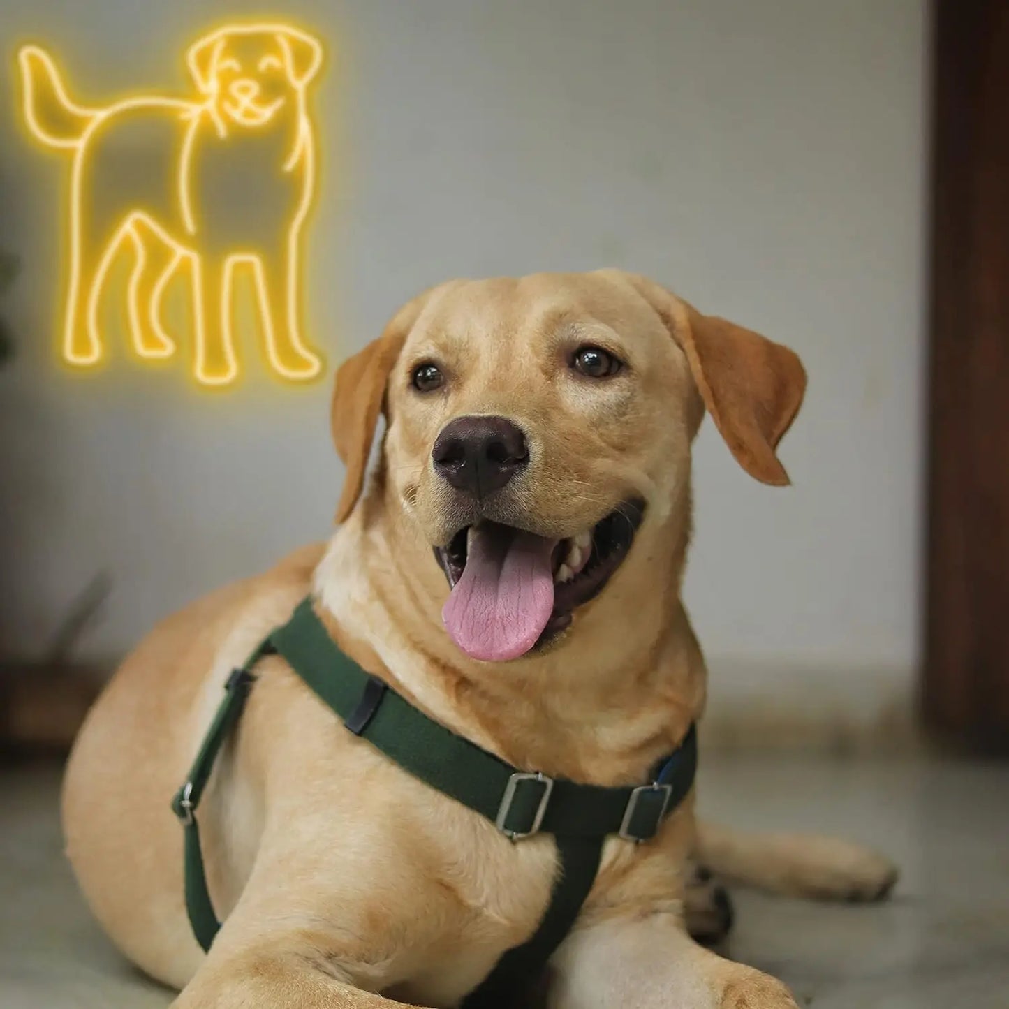 Labrador LED Home Decor