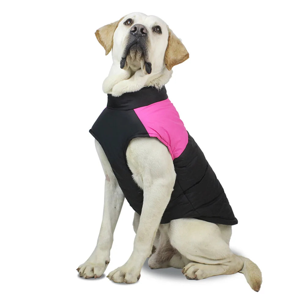 Labrador Winter Dog Jackets