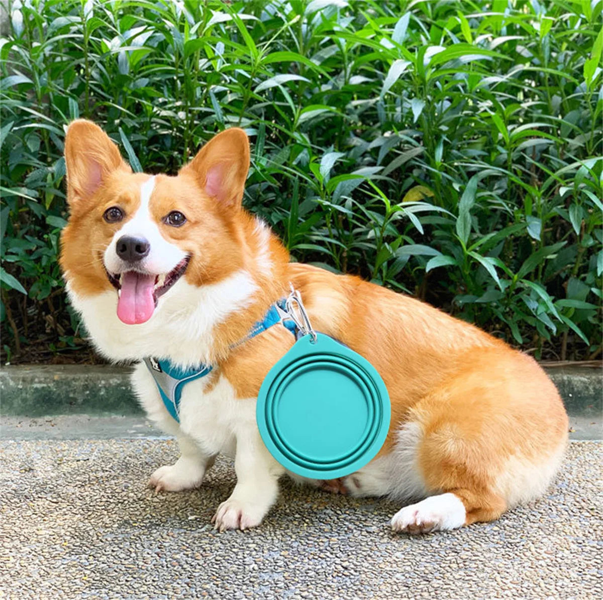 Foldable Pet Feeding Bowl