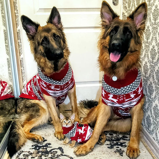 Medium Large Dog Christmas Sweater