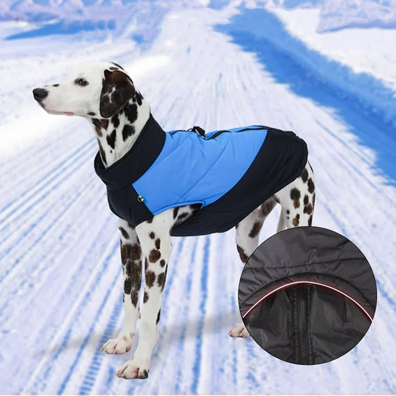 Dalmatian Waterproof Winter Jacket