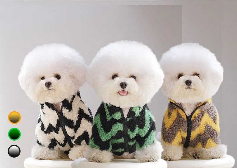 Bichon Frise Striped Winter Jacket