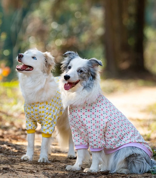 Aussie Short Sleeved Spring Sweater