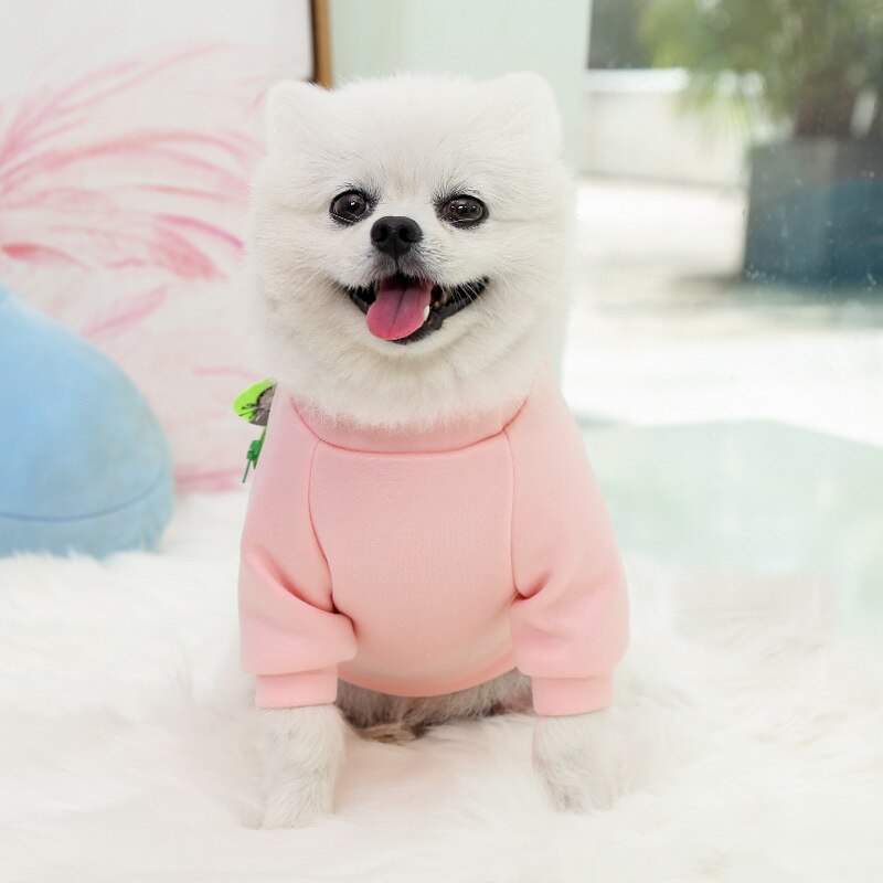 Adorable Small & Medium Dog Sweatshirt