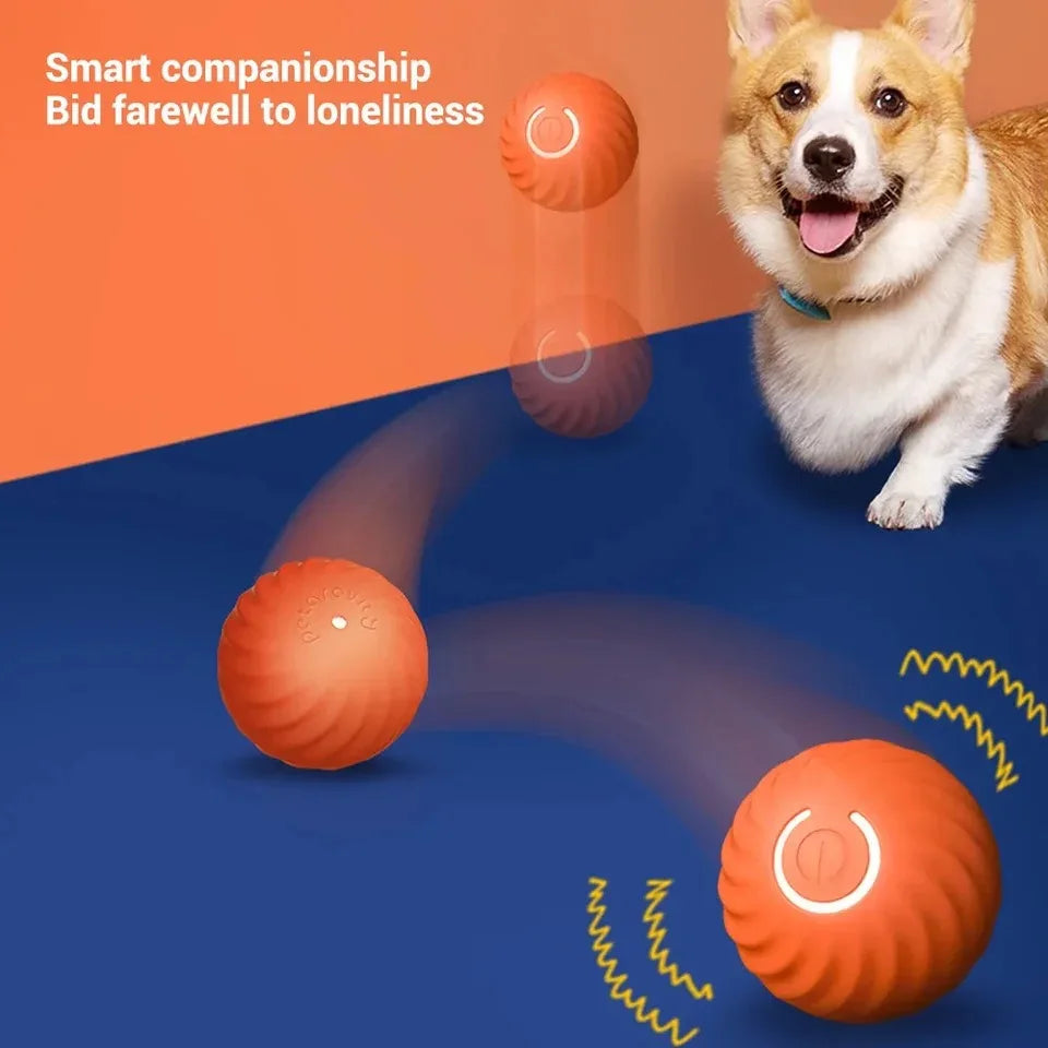 Dog Automatic Smart Ball Toy