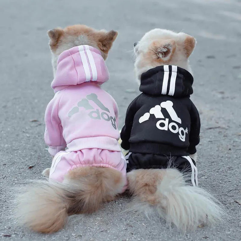 Pomeranian Cozy Winter Hoodies