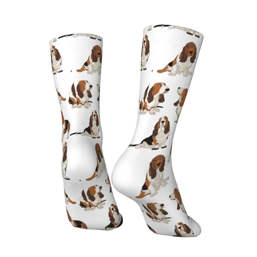 Basset Hound All Season Socks