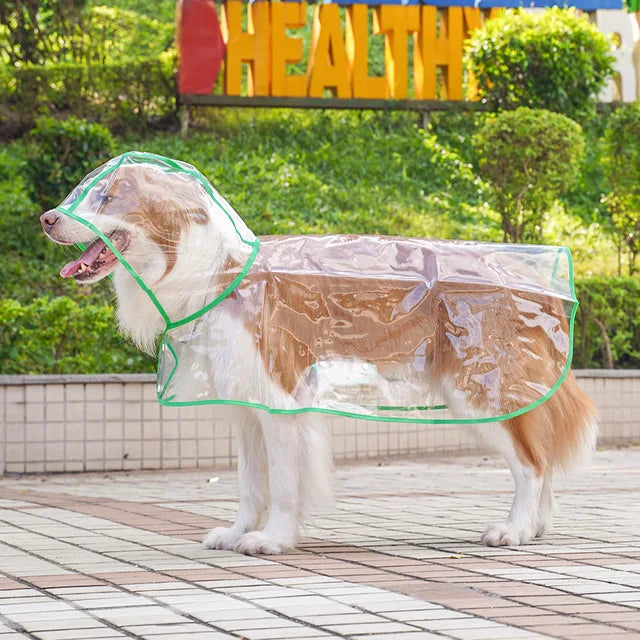 Transparent Dog Raincoat