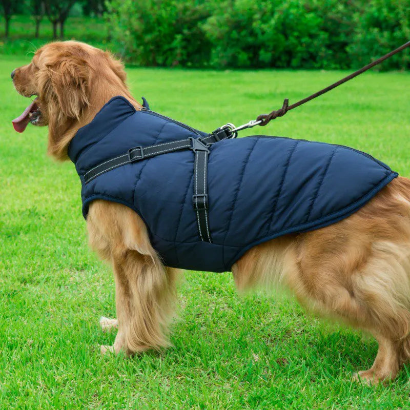 Golden Retriever Winter Harness Jacket