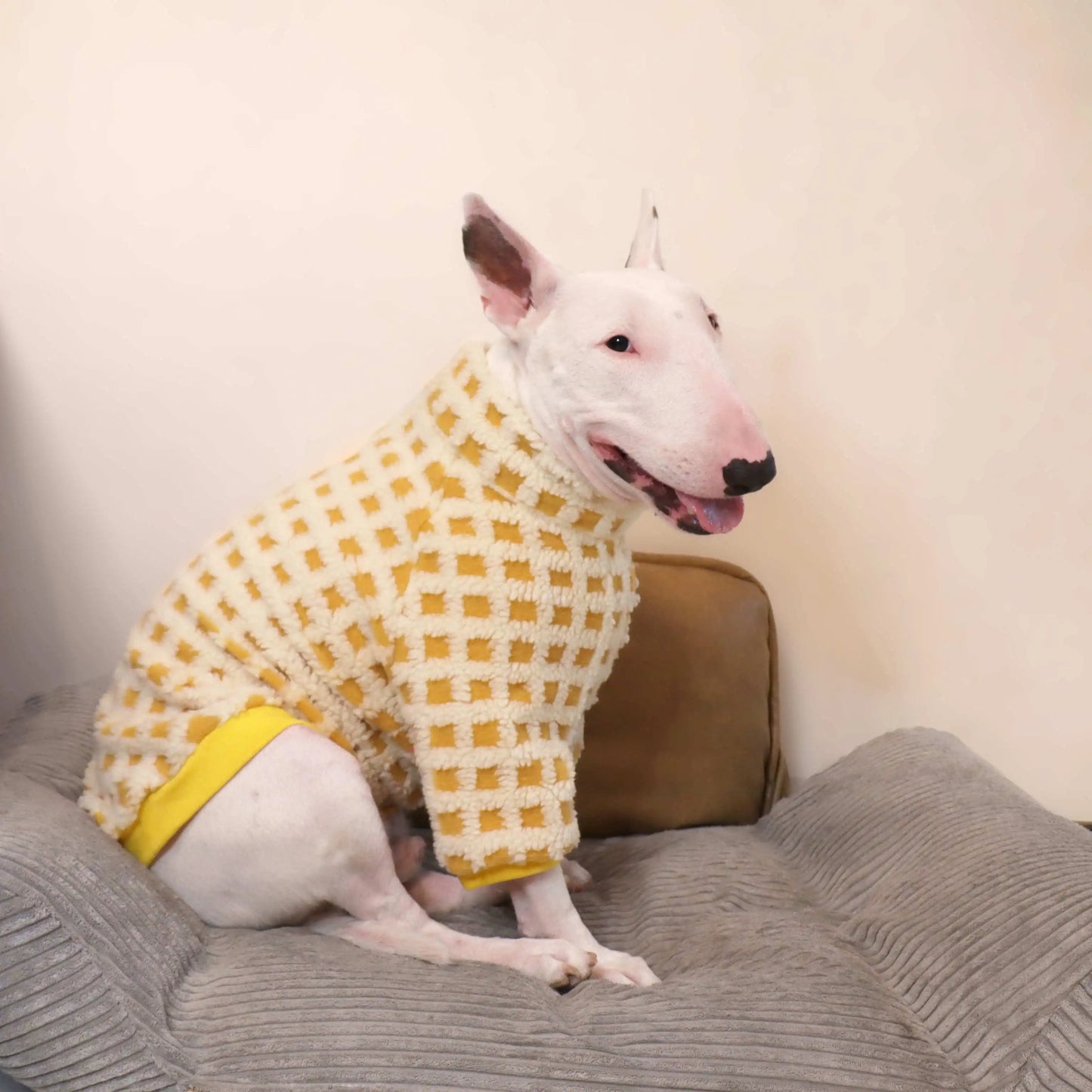 Bull Terrier Plaid Winter Sweater