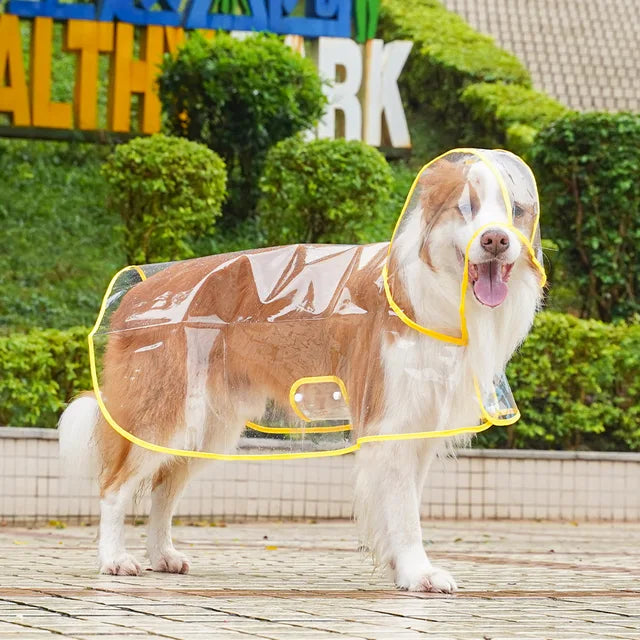 Transparent Dog Raincoat