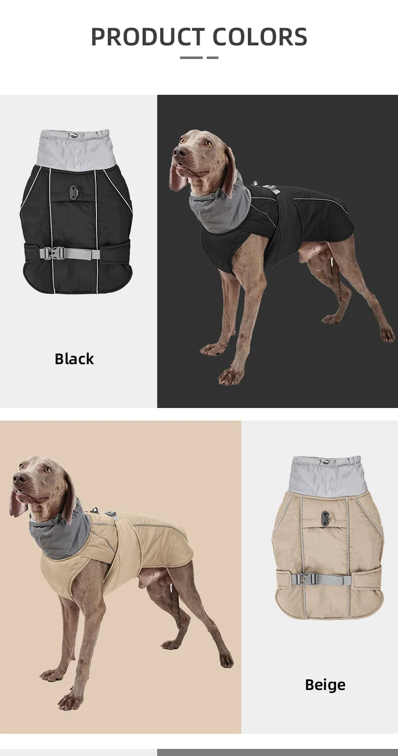 Weimaraner High collar Winter Dress