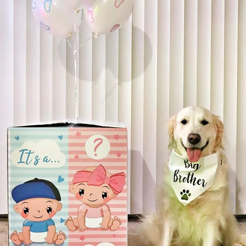 Adorable Dog Big Brother & Sister Bandanas