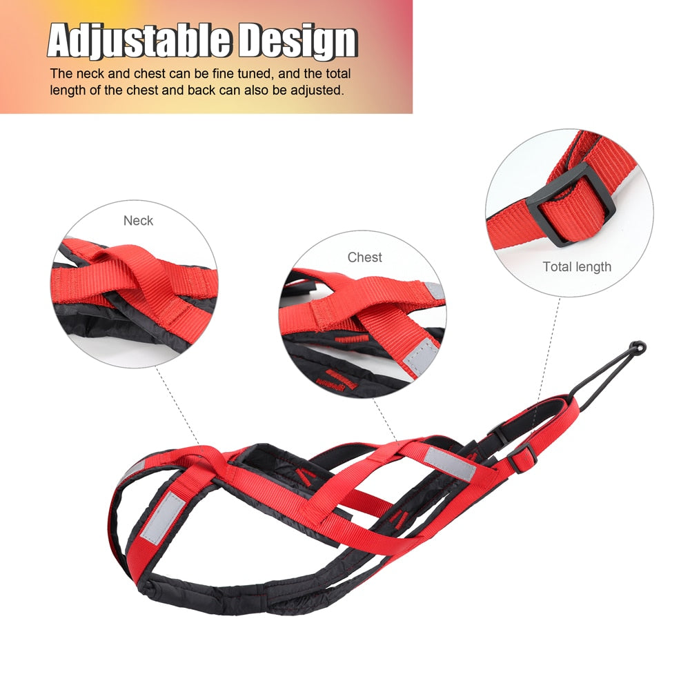 Sled Dog Harness