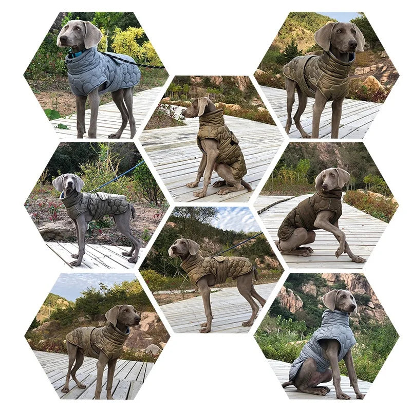 Weimaraner Winter Vest Coat