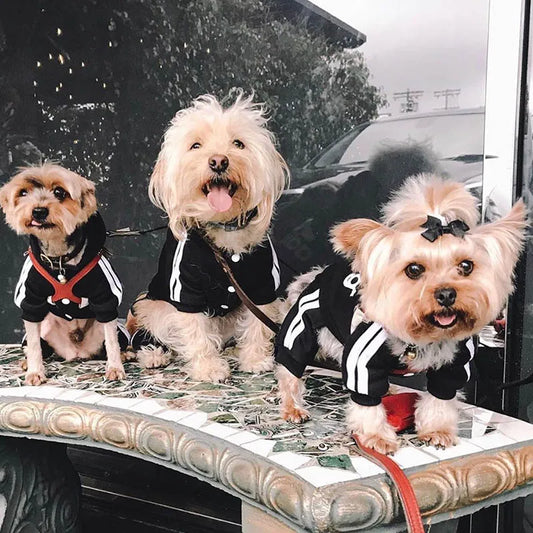 Cozy Yorkie Winter Hoodies