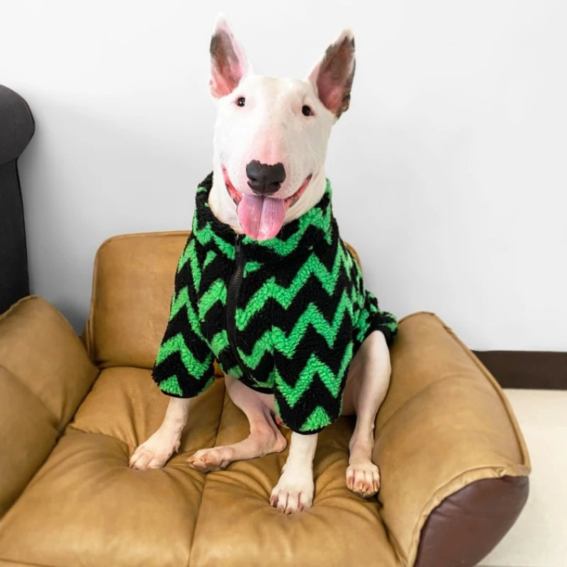 Bull Terrier Striped Winter Jacket