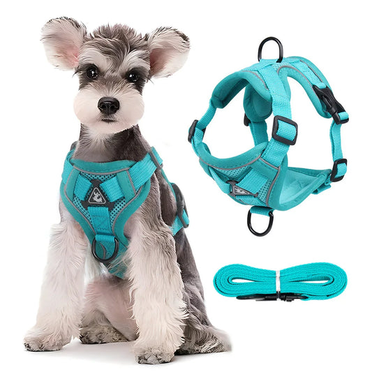 Dog Harness Leash Set