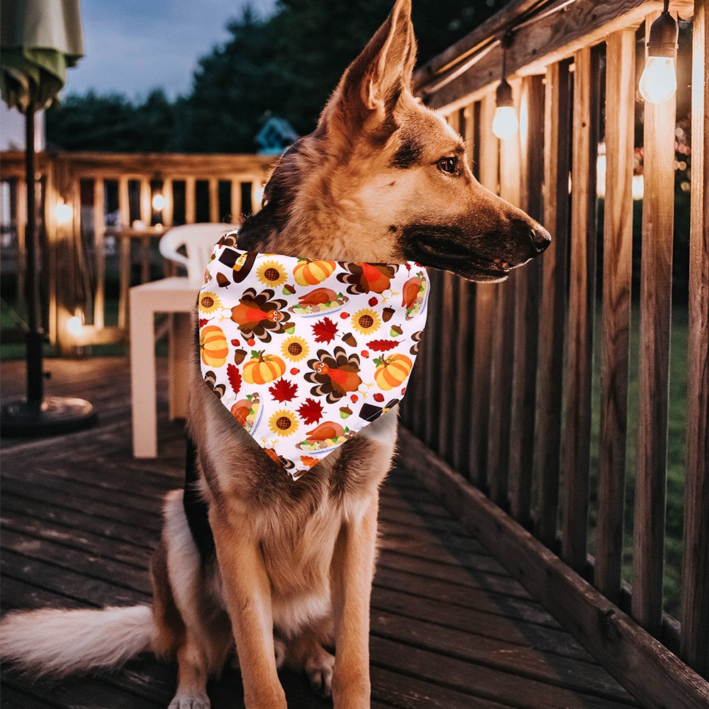 Fall Dog Bandanas